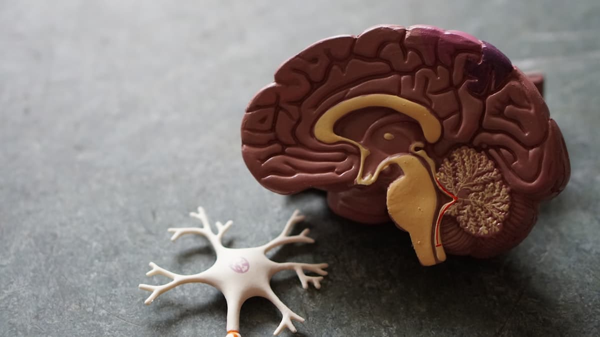 AP Biology 2026 Changes: Updated Exam Format, New Emphasis Areas & What to Expect