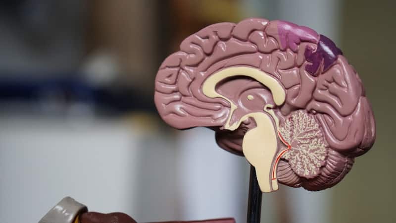 Medicine Profile Building for UK and US: The Complete Guide for Indian Students