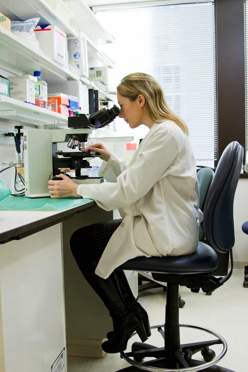 AP Biology Lab Questions 2026: Complete Guide to Lab-Based Exam Questions