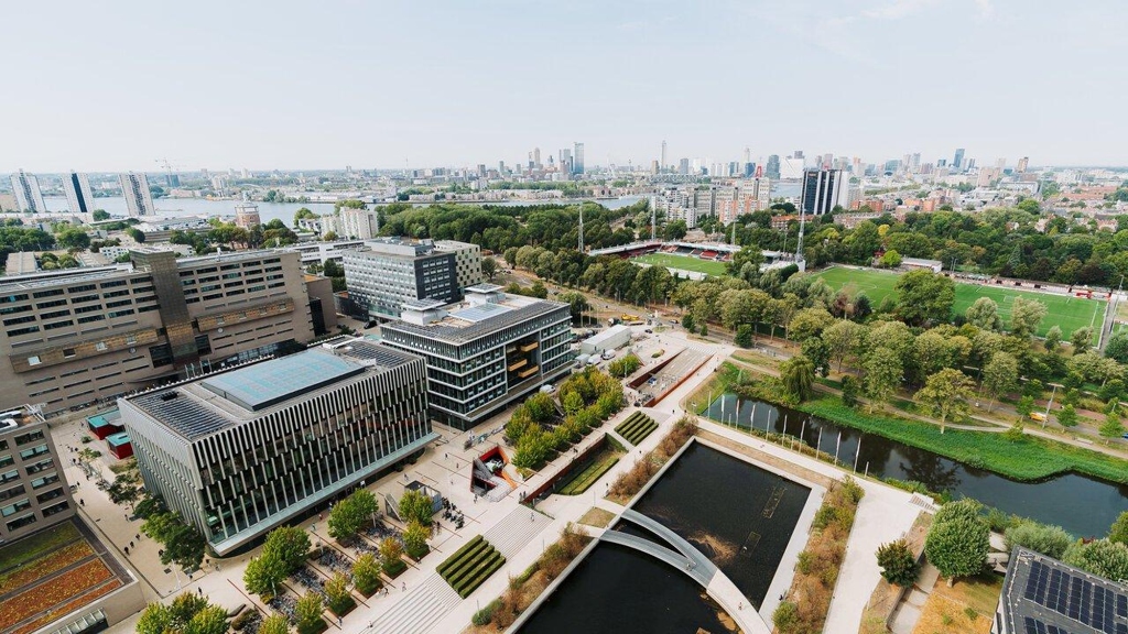 How to Build a Competitive Profile for Dutch University Admissions