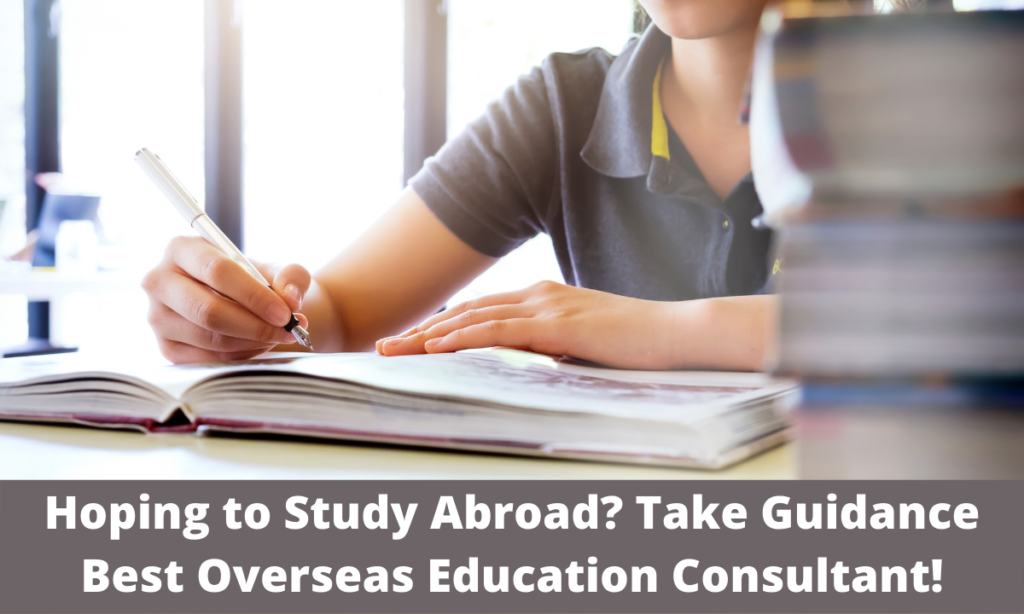 Hoping to Study Abroad Take Guidance Best Overseas Education Consultant